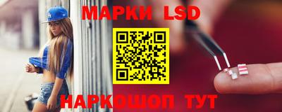 прущие грибы Кунгур