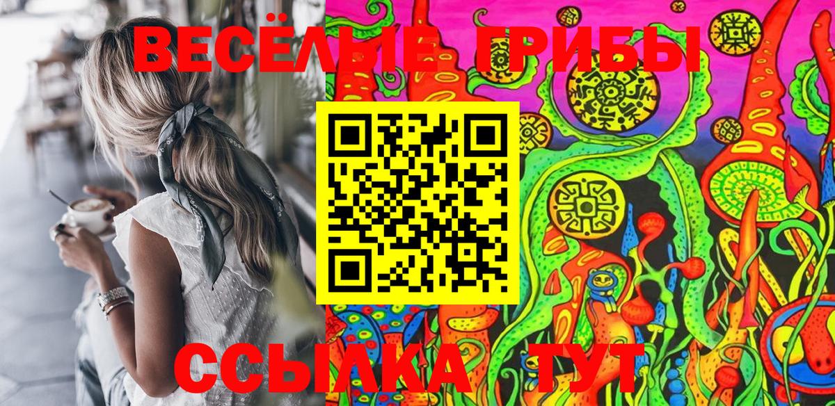 Галлюциногенные грибы GOLDEN TEACHER  Вход с VPN  Дальнереченск 
